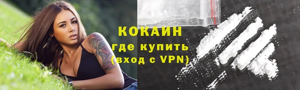 дживик Гусь-Хрустальный