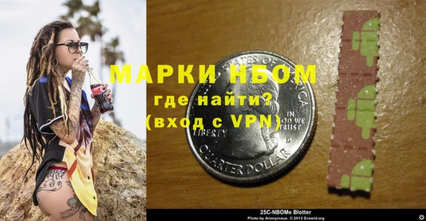 ПСИЛОЦИБИНОВЫЕ ГРИБЫ Гусев