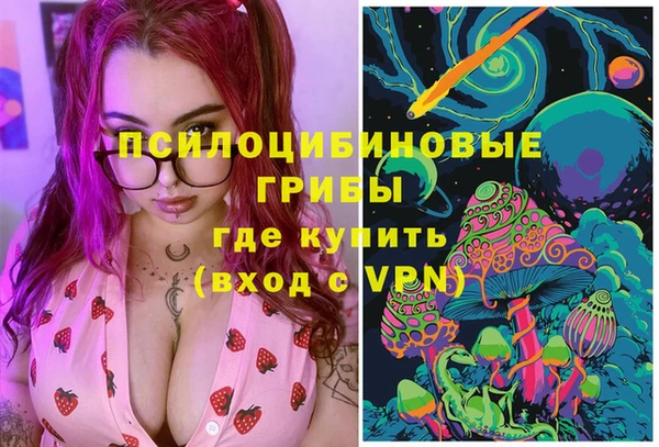 дживик Гусь-Хрустальный