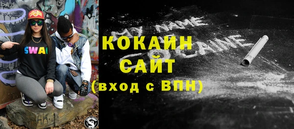 ПСИЛОЦИБИНОВЫЕ ГРИБЫ Гусев