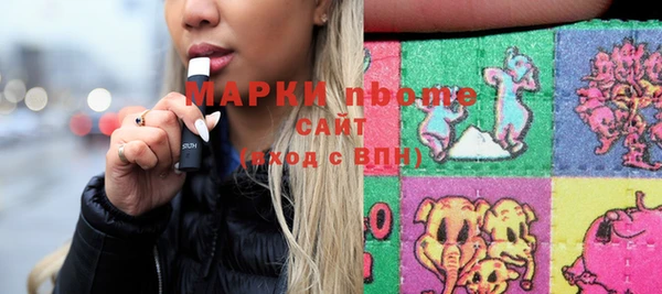 ПСИЛОЦИБИНОВЫЕ ГРИБЫ Гусев
