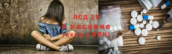 ПСИЛОЦИБИНОВЫЕ ГРИБЫ Гусев