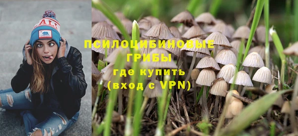 дживик Гусь-Хрустальный