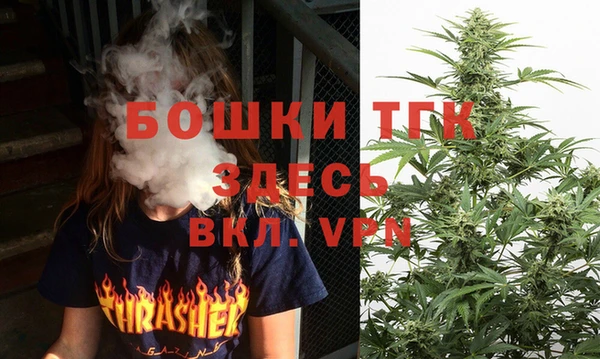 ПСИЛОЦИБИНОВЫЕ ГРИБЫ Гусев